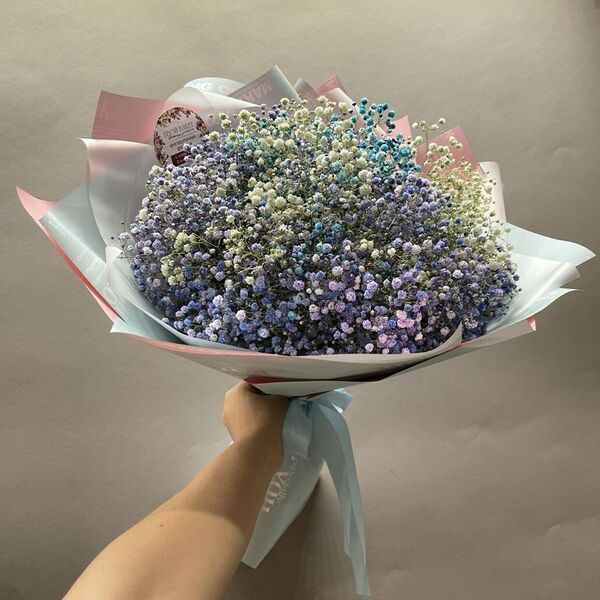 Радужная гипсофила