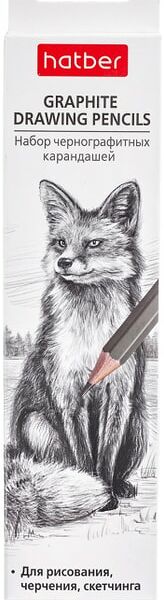 Набор карандашей Hatber чернографитные 2H H HB B 2B 3B 6шт