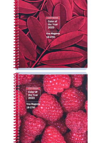 Тетрадь Collezione Viva magenta в клетку А5, 48л, 1шт в ассортименте