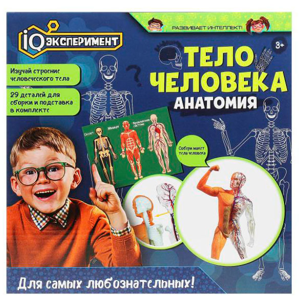 Набор для опытов IQ Эксперимент Тело человека. Анатомия