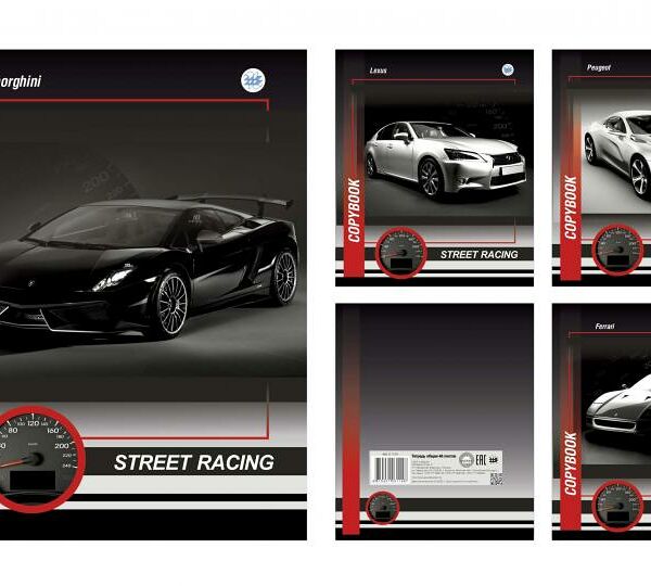 Тетрадь общая клетка 48л серия Стритрэйсинг