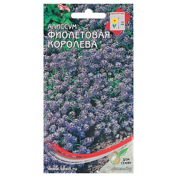 Семена Алиссум Фиолетовая королева