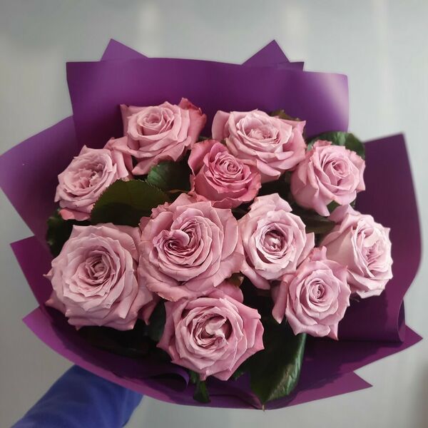 Роза сиреневая