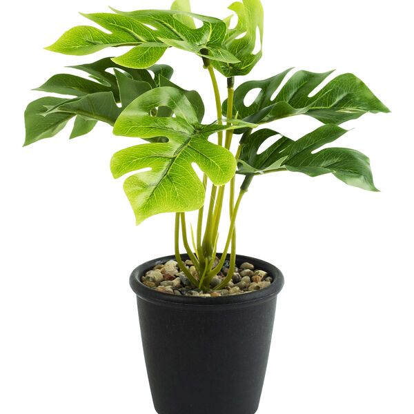 Искусственное растение ФЕНИКС-ПРЕЗЕНТ Декоративное Зеленое в кашпо 23x17x17см