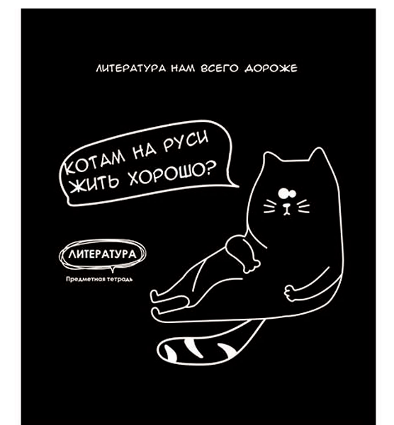 Тетрадь PROF-PRESS Литература.Подслушано,48 листов,в линейку,Арт. Т48-1467