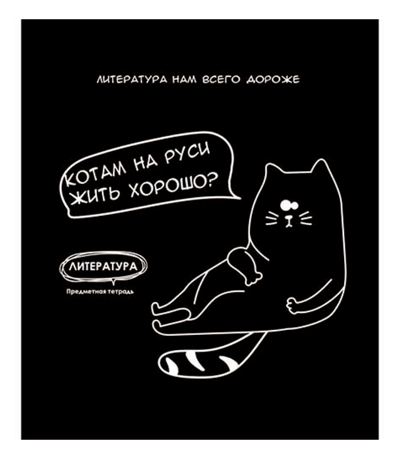 

Тетрадь PROF-PRESS Литература.Подслушано,48 листов,в линейку,Арт. Т48-1467