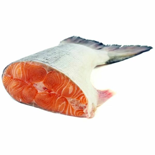 Кижуч Чили хвостовая часть