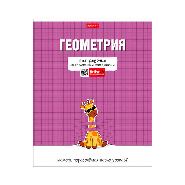 Тетрадь предметн Геометрия 48л А5ф клетка 65г/кв.м на скобе обл мел картон мат лам 48Т5лВd1_30584