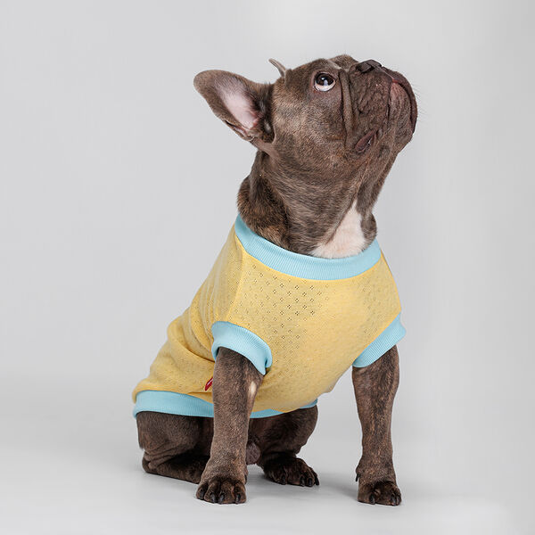 Petmax Футболка желтая с пейзажем L