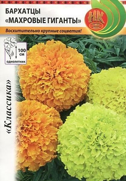 Семена Русский Огород Бархатцы Махровый гигант смесь 0,3г