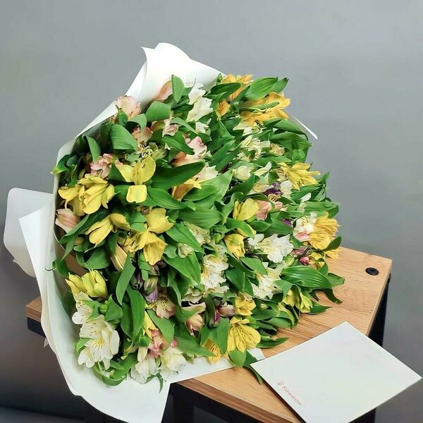 Букет из 49 альстромерий