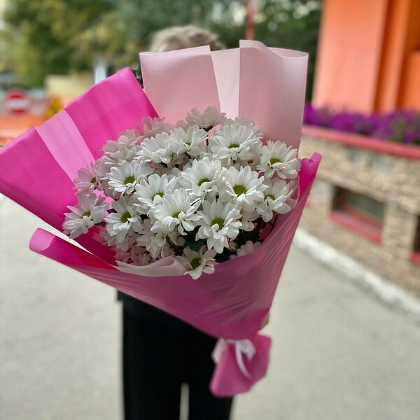 Белая хризантема