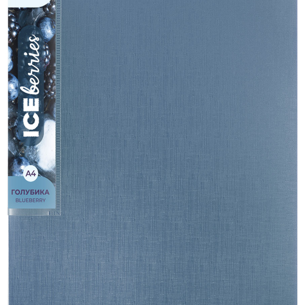 Папка Expert Complete с металлическим зажимом Голубика А4