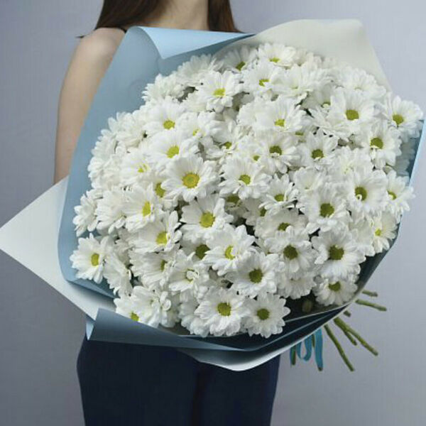 Букет из 15 белых кустовых хризантем