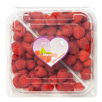 Малина Puro Delicio