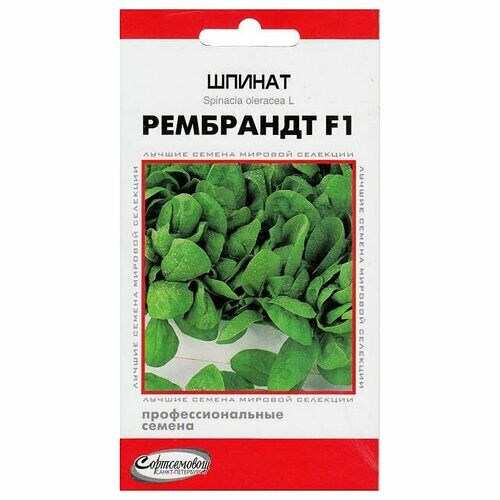 Семена Сортсемовощ шпинат Рембрандт F1