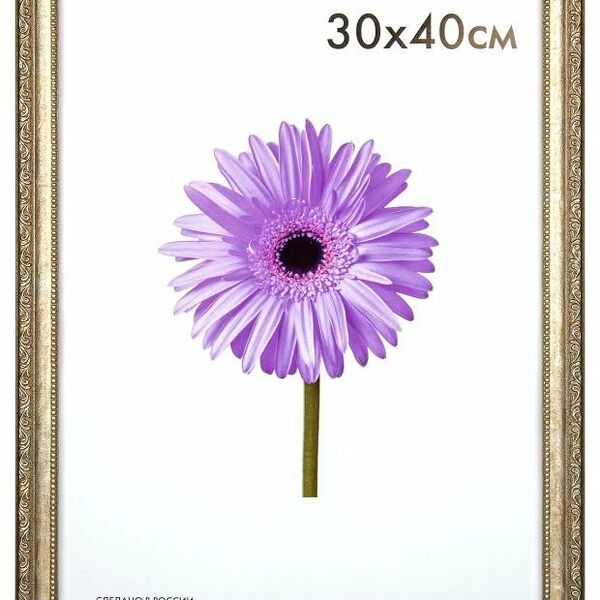 Фоторамка Daniella серебро, 30x40 см