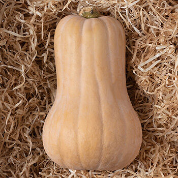 Тыква Баттернат вес