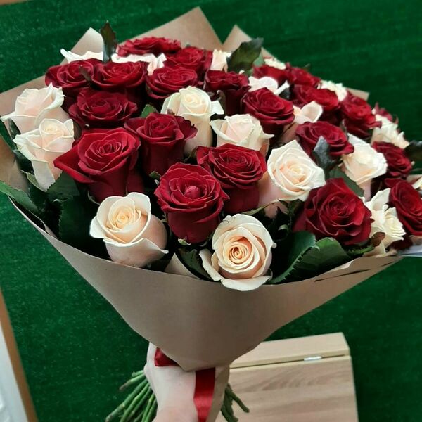 51 кремово-бордовая роза