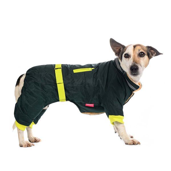 Petmax Комбинезон с поясом для собак S зеленый (унисекс)
