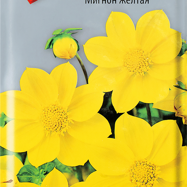 Семена ПОИСК Георгина Мигнон, желтая, 0,2г