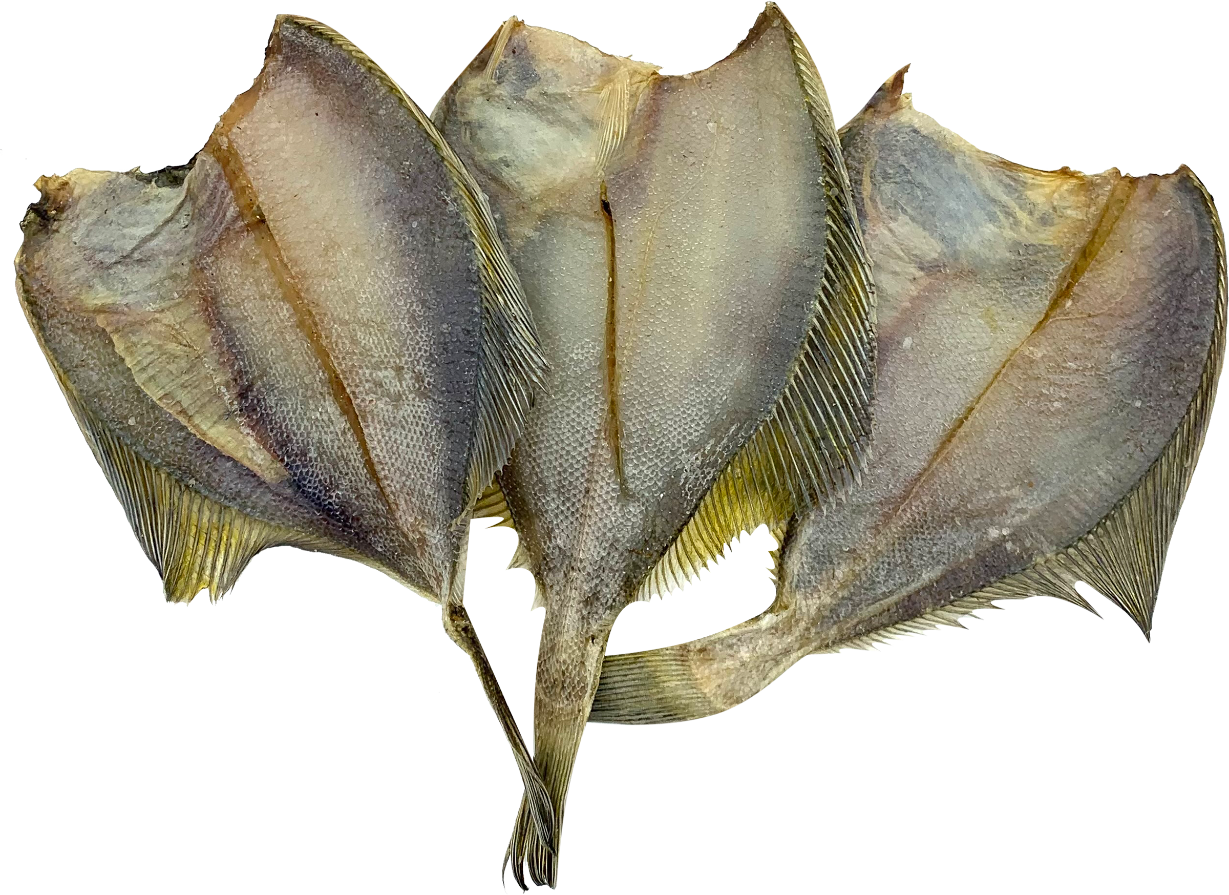 

Камбала вяленаяб ез головы вес