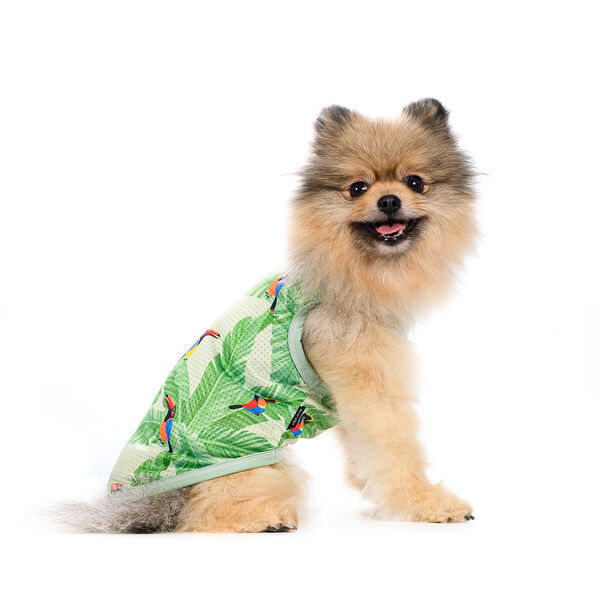 Майка для собак Птицы XL зеленый (унисекс)