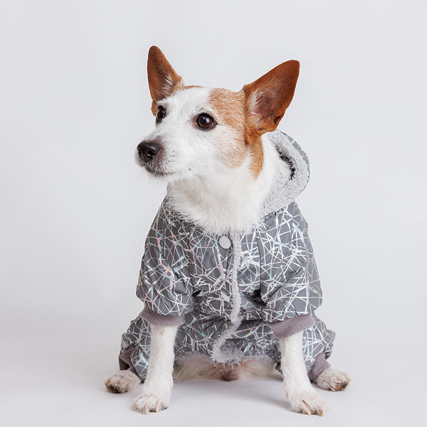 Комбинезон светоотражающий для собак, L, цветные линии