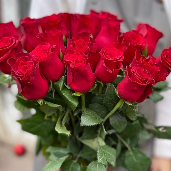 Букет из 25 красных роз Родос (60 см)