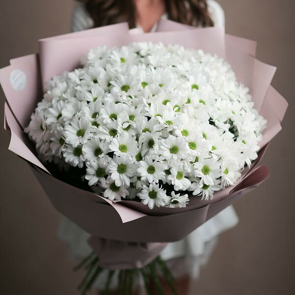 Букет из 15 хризантем.