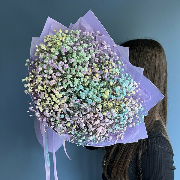 Гипсофила М