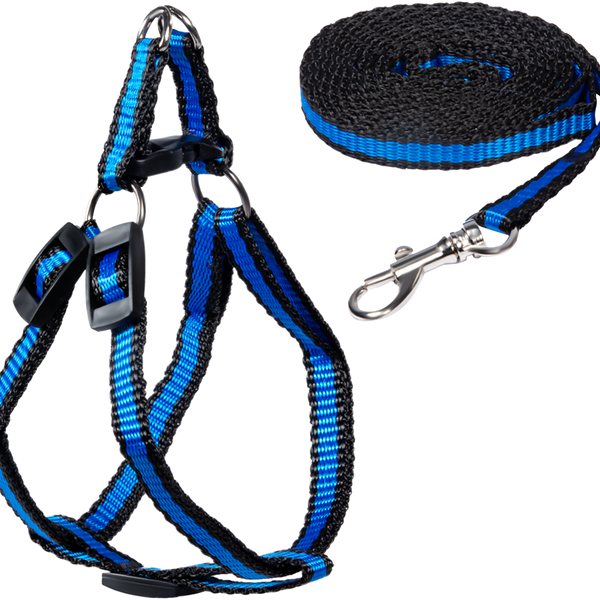 Шлейка - поводок для щенка - комплект из капрона ТМ Gamma (Гамма)