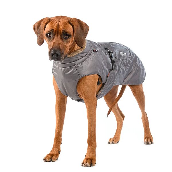 Попона с меховым воротником для собак крупных пород XL серый (унисекс)