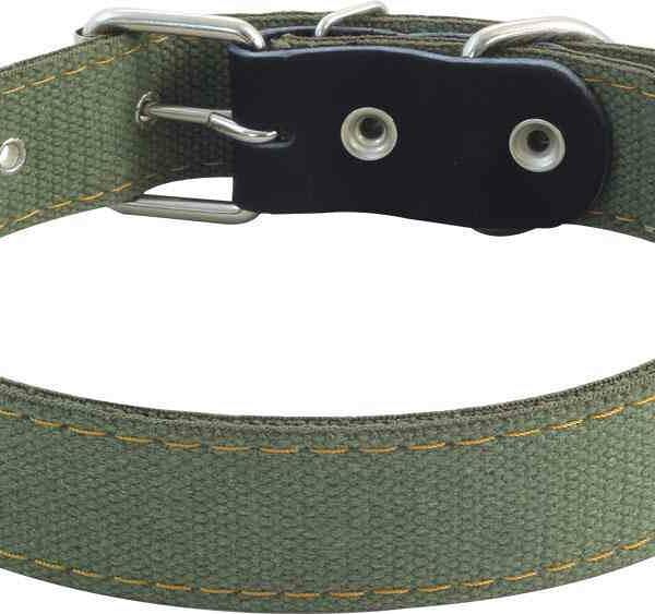 Ошейник для собак Gamma двойной брезентовый, 67,5 см
