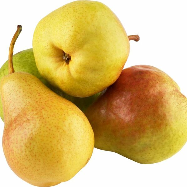 Груши Пакхам Вильямс