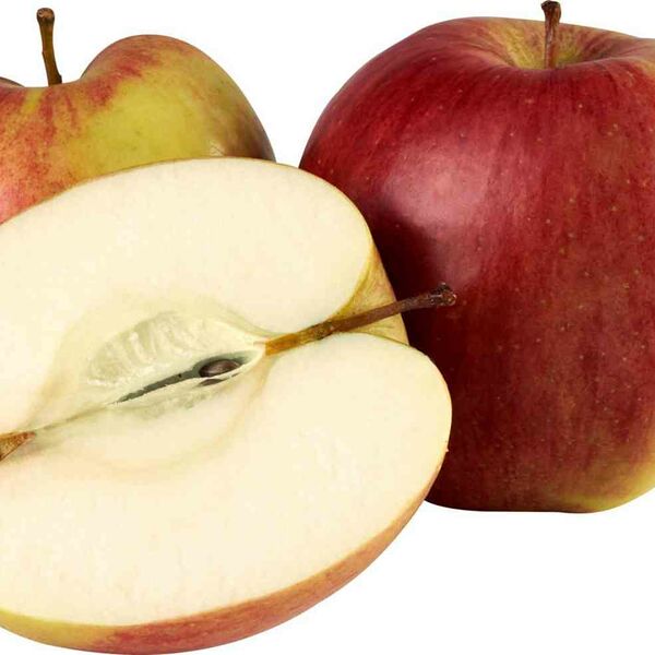 Яблоки Лигал