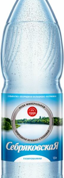 Вода Себряковская минеральная газированная 1.5л