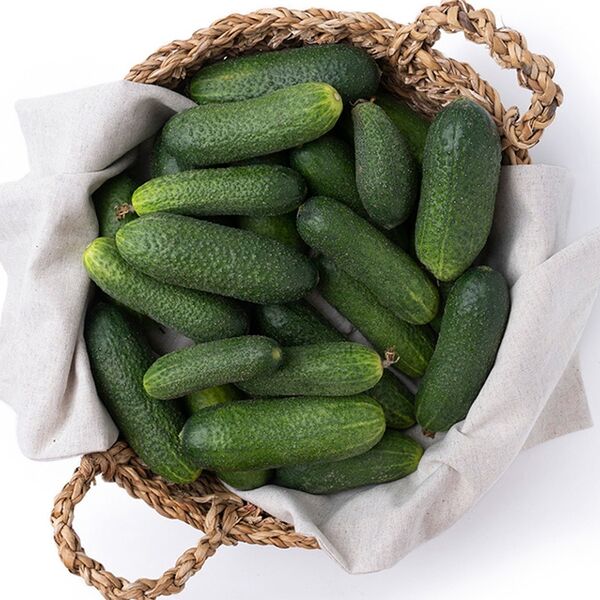 Огурцы Луховицкие