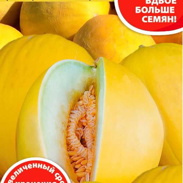Семена РУССКИЙ ОГОРОД 200%, Дыня Колхозница 749/753, 2г