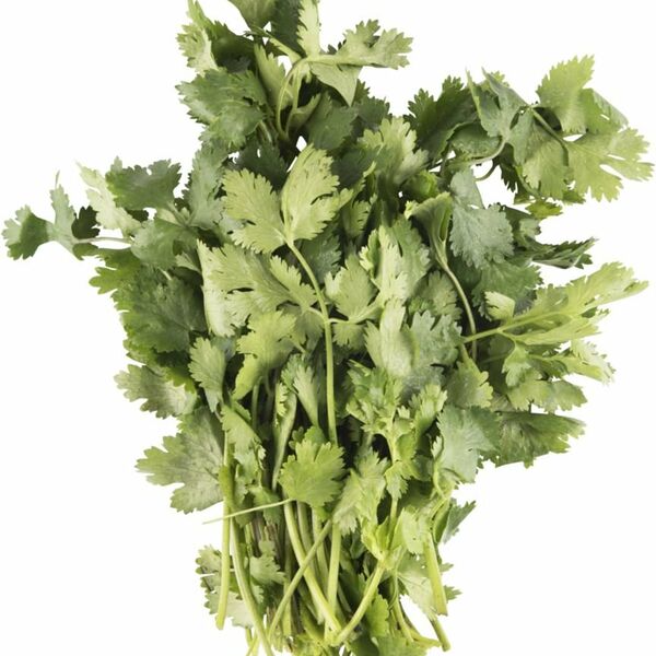 Зелёный Сад Кинза, флоу-пак