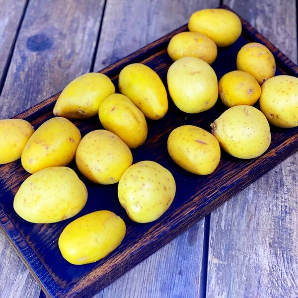 Картофель средний мытый Россия