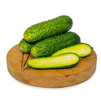 Огурцы короткоплодные тепличные