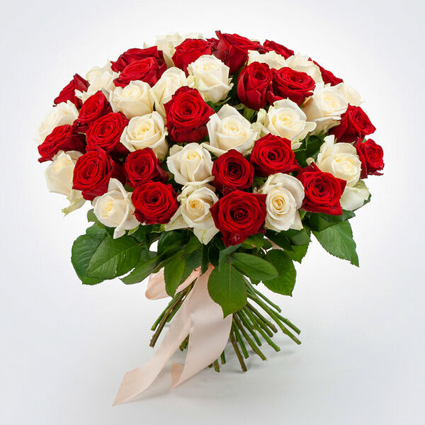 Букет 51 роза красно-белый микс (40 см)