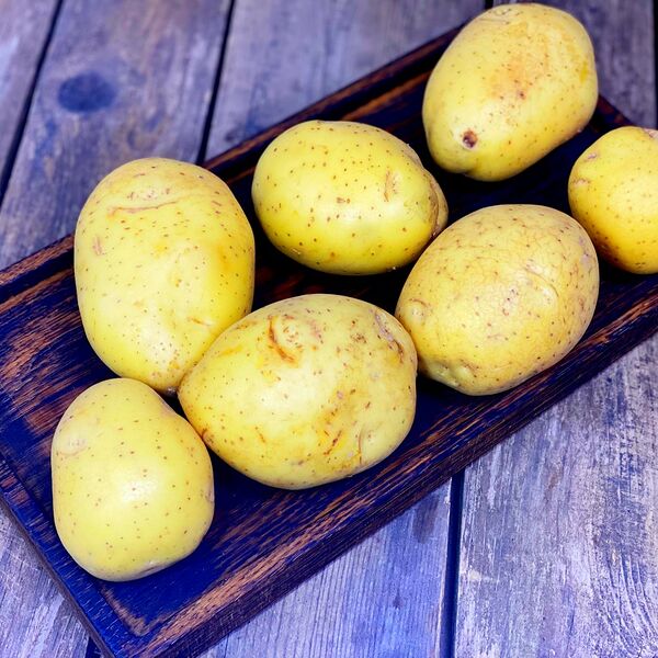 Картофель крупный мытый Россия