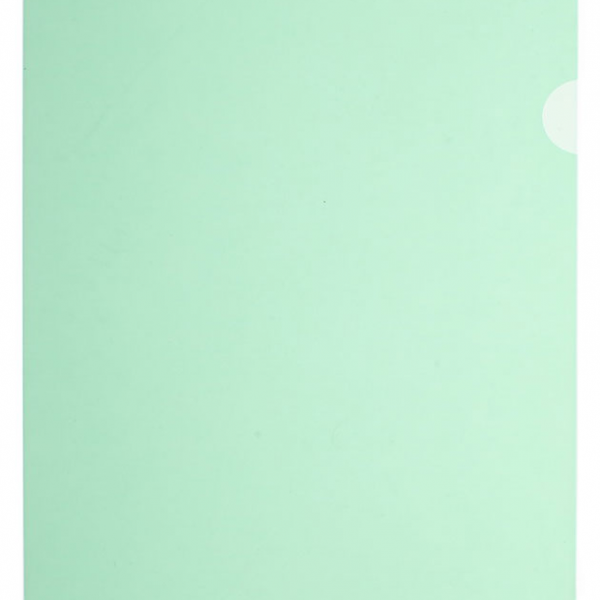 Папка-уголок Каждый день, А4