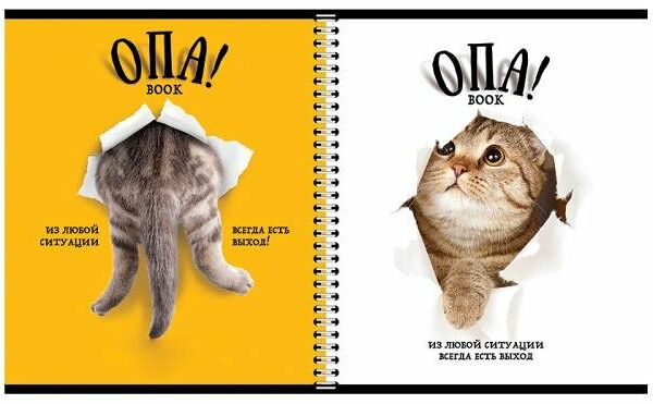 Тетрадь ПЗБМ А5 клетка гребень Опа!, 96 листов в ассортименте