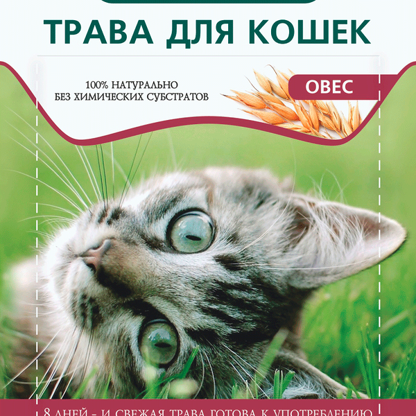 Трава для кошек TiTBiT Овес, 25 г