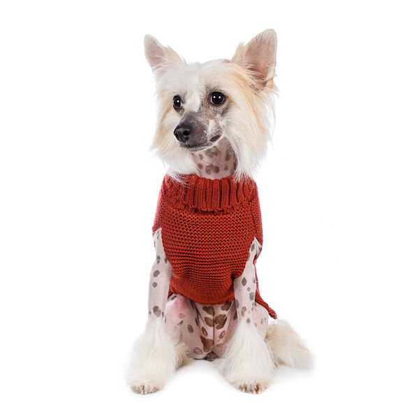 Свитер для собак 35см M оранжевый (унисекс)