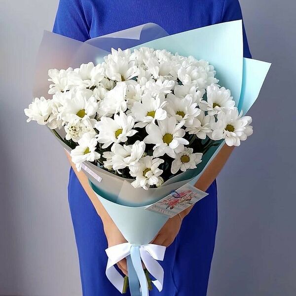 Ромашковый комплимент