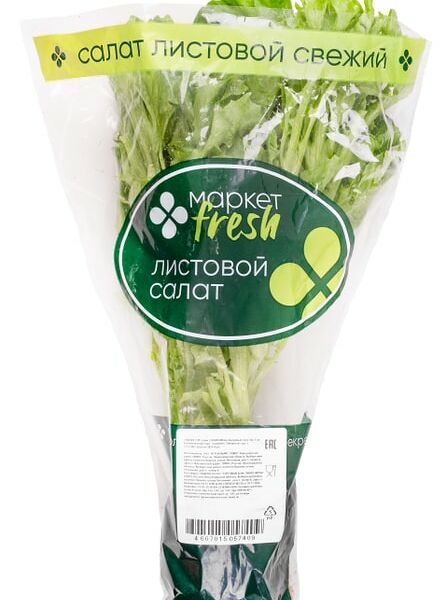 Салат Кудрявый в горшке 1шт